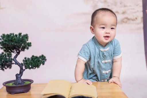 库尔勒可爱的企鹅宝宝